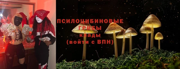 дурь Гусев