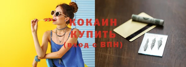 дурь Гусев