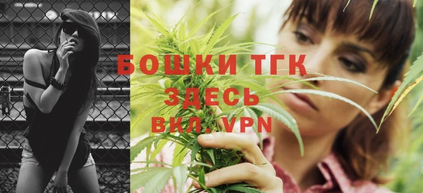 дурь Гусев